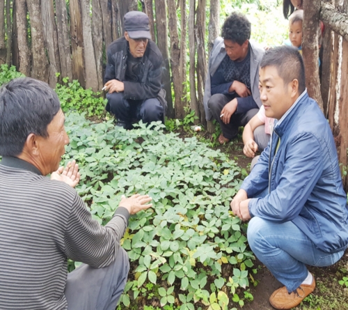 雲南狗万農業總經理和種植戶交流