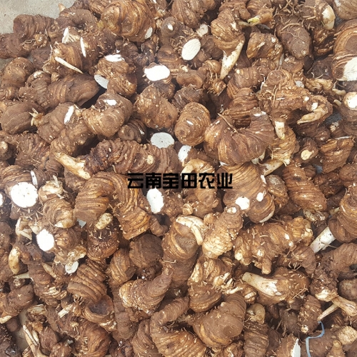 雲南狗万農業滇重樓鮮品