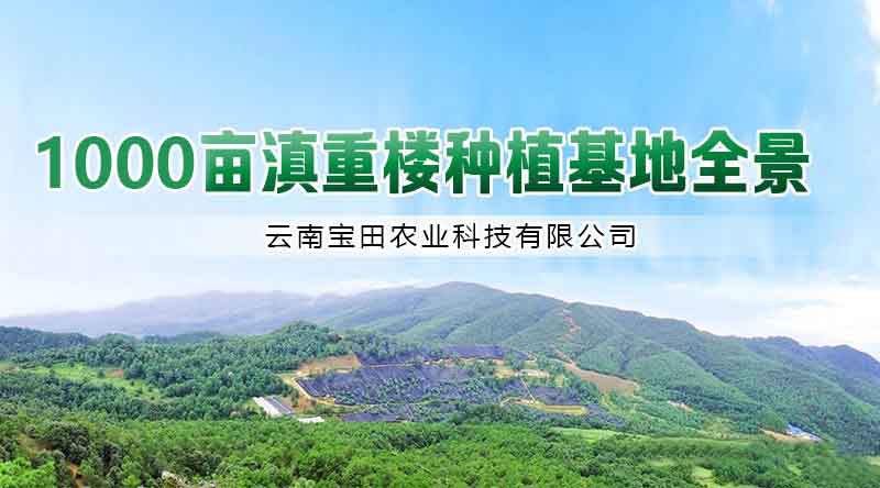 狗万5.jpg
