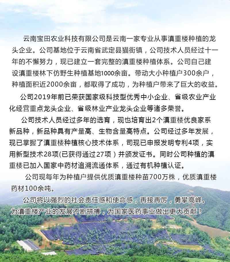 狗万6.jpg
